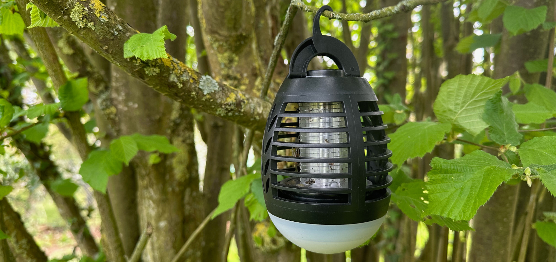 lampe anti insecte