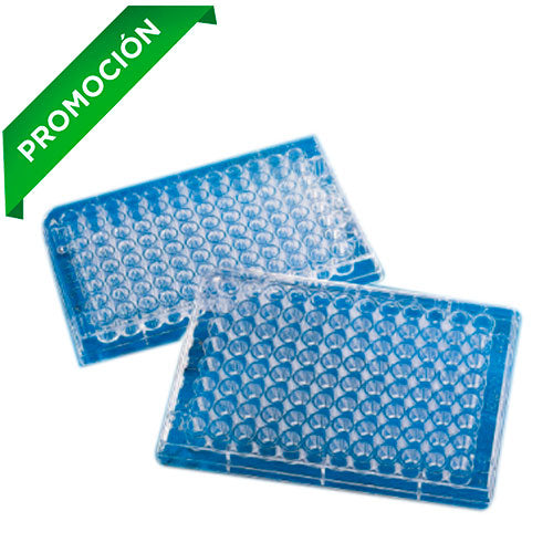 Envases de cuadrados de plástico con tapa 1800cc ·