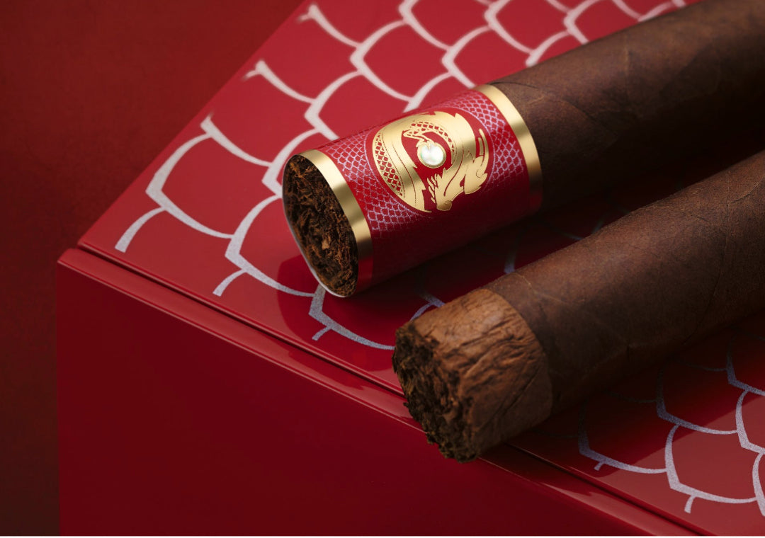 Davidoff Year of the Dragon 2024 Limited Edition Zigarre Detail