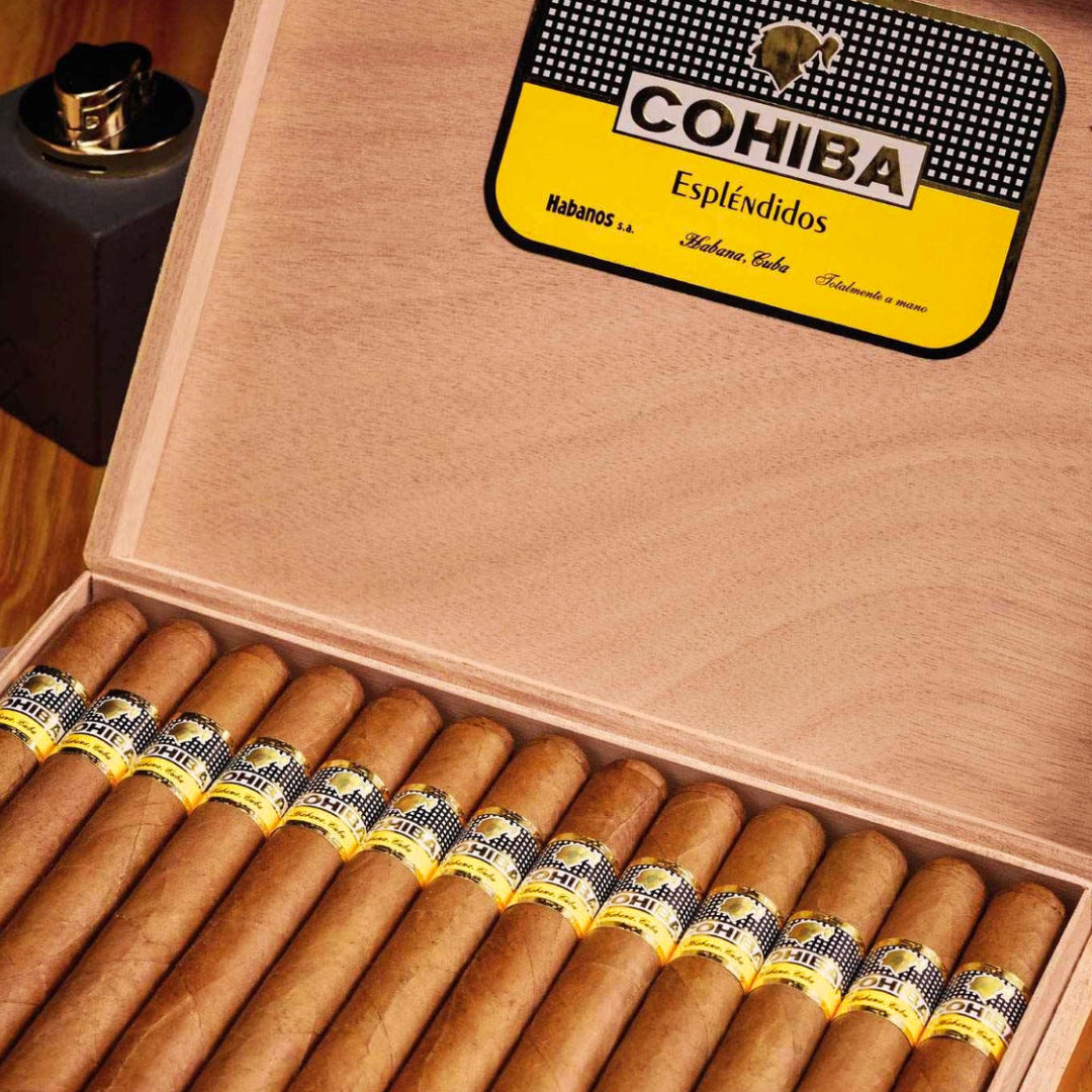 Cohiba Esplendidos originale Box kaufen