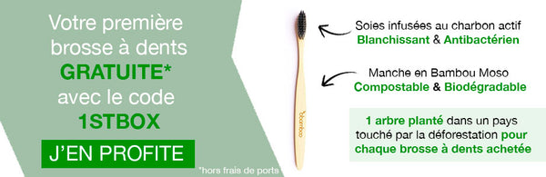 brosse à dents en bambou