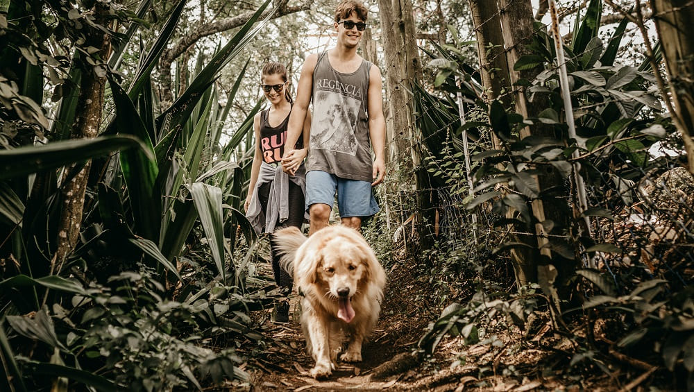 Balade en Amoureux en foret avec son Chien