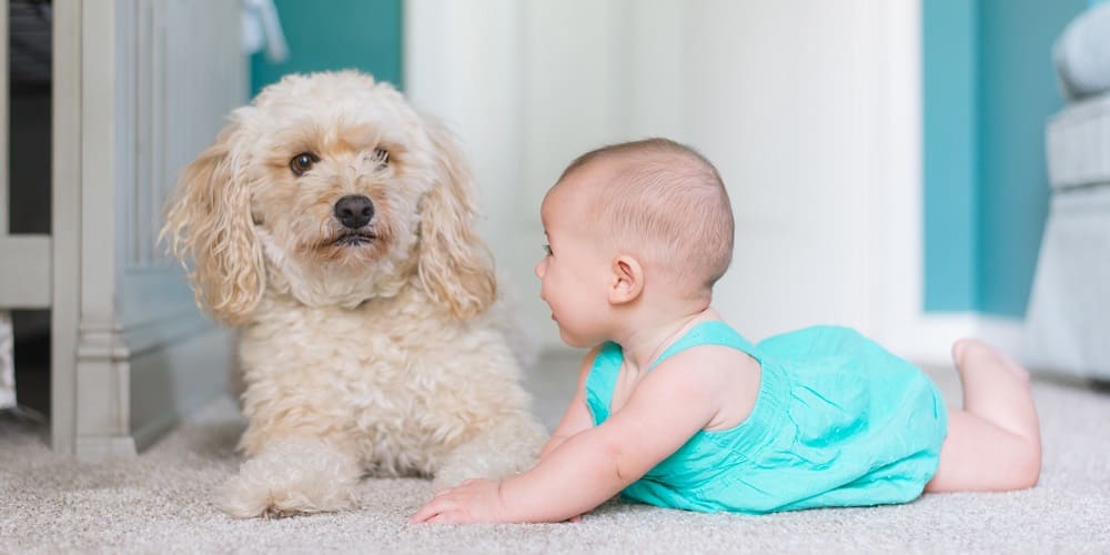 Bébé et sa famille