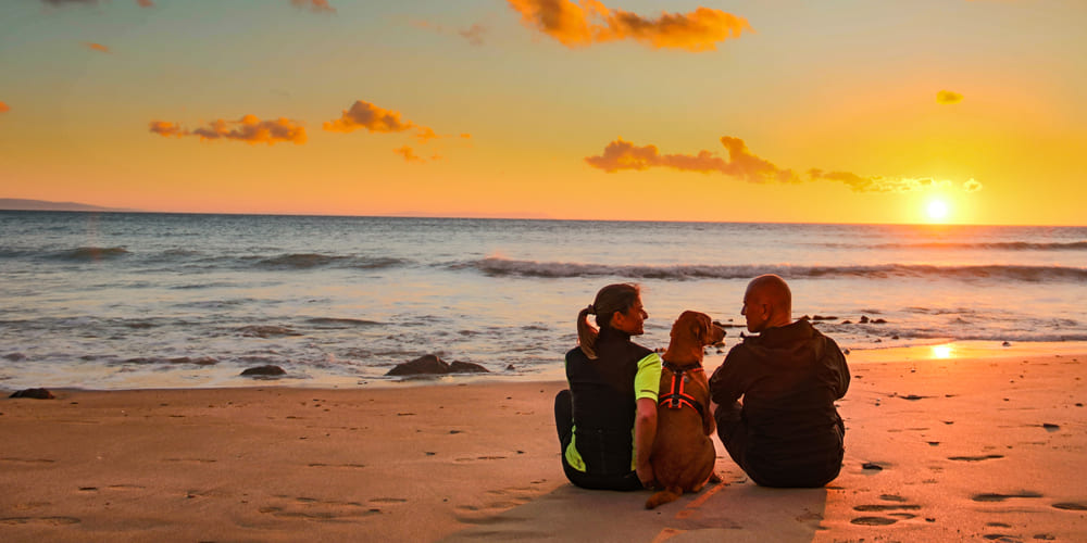 Couple Amoureux sur une Plage