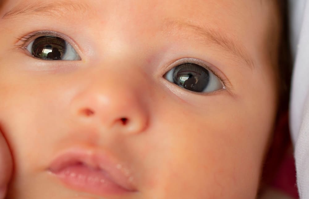 Les plus yeux de bébés