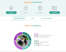 Load image into Gallery viewer, DOG BREED IDENTIFICATION