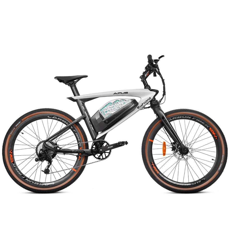 Eahora APUS ebike(Limited Edition)