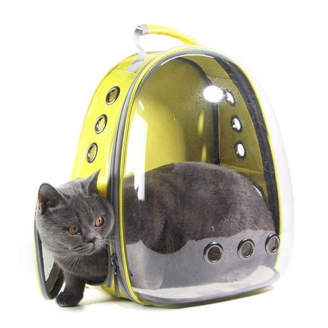 cat capsule backpack