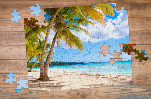 100 Piece Custom Puzzle - beach and palmtree - MakeYourPuzzles