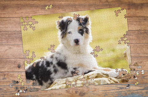 Framing a Custom Jigsaw Puzzle | photo puzzle of dog | MakeYourPuzzles