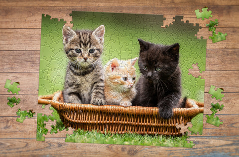 Custom Pet Photo Puzzle with cats - MakeYourPuzzles