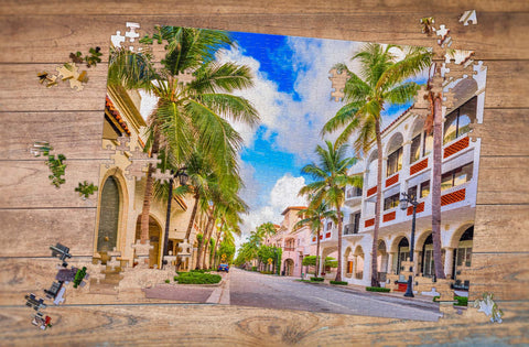 500 Piece Custom Photo Puzzle showing street and Palm trees- MakeYourPuzzles