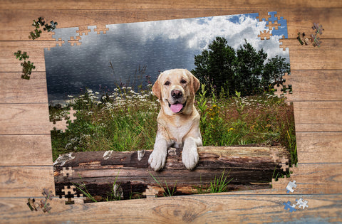 dog photo puzzle by MakeYourPuzzles