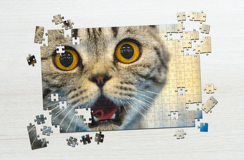 Shock cat puzzle