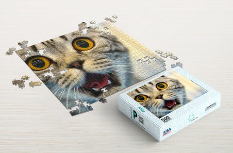 Shock cat 500-piece puzzle package