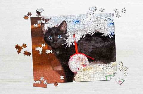 custom made Photo puzzle of cat | MakeYourPuzzles