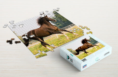 What are horse puzzles?