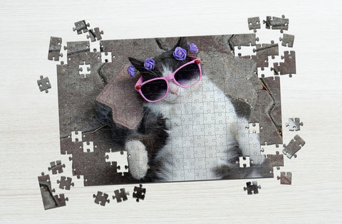 Cool cat puzzle