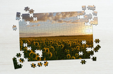 Sunflower field puzzle gift for seniors