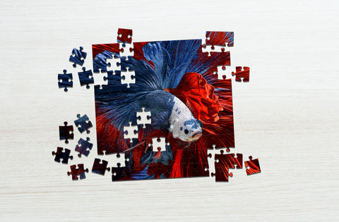 Beta fish puzzle