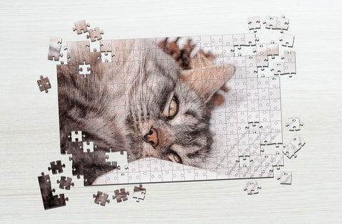 Laying cat puzzle