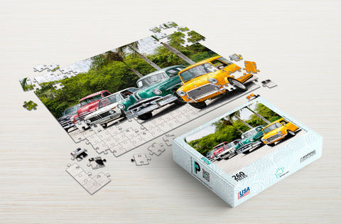 Cars puzzles for seniors 260-piece package