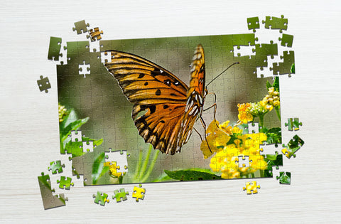 Orange butterfly puzzle