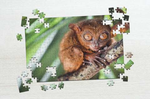 tarsier hugging on branch puzzle