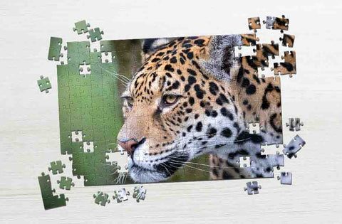 Leopard ready to hunt cool jigsaw puzzles