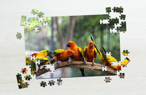  Bird puzzles: a perfect blend of fun and learning for families and kids of all ages