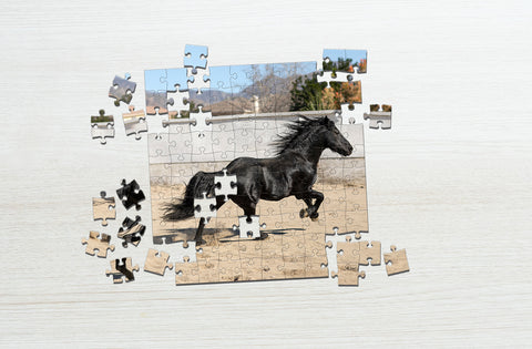 Black horse puzzle puzzle