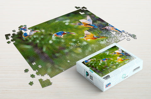 Birds diving 1000-piece puzzle package
