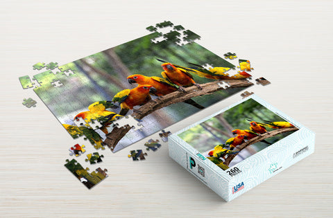 What are bird puzzles?