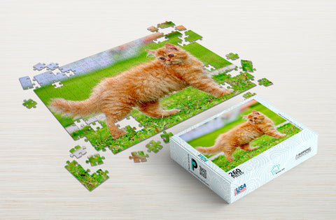 What are cat jigsaw puzzles?