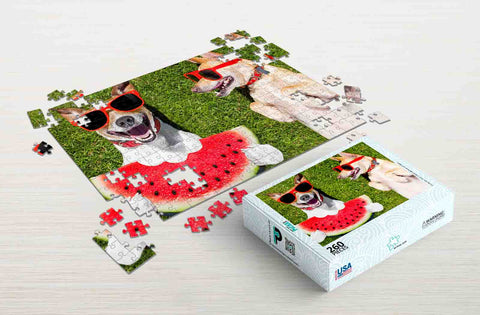 Two dogs having fun outside 260-piece funny puzzles for adult package