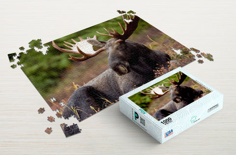 Moose 1000-piece puzzle package