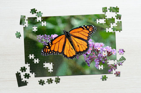 Orange butterfly puzzle