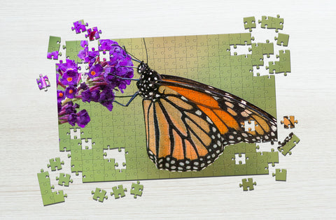 Butterfly on a lavender puzzle