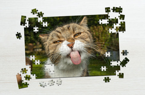 Cat Showing tongue jigsaw puzzle