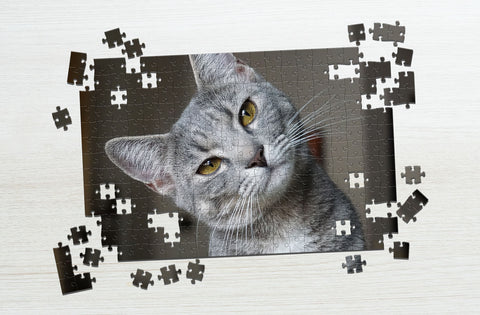 100-Piece Cat Puzzle | Make Your Own Cat Puzzle at MakeYourPuzzles