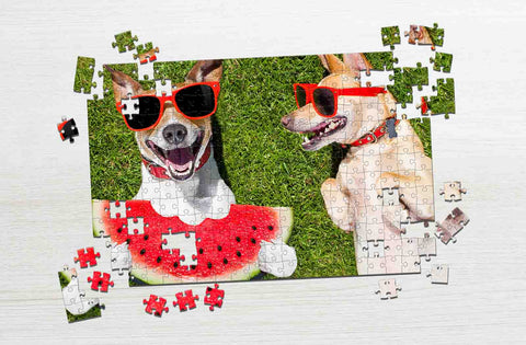 Two dogs having fun outside funny puzzles for adult