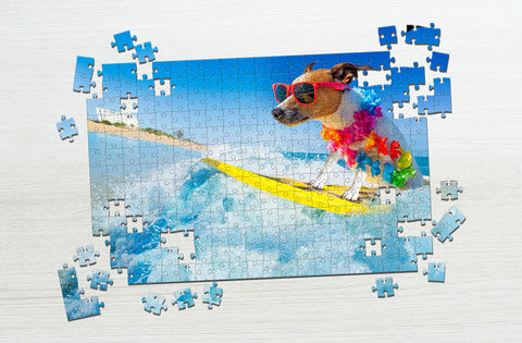 Dog surfing puzzle