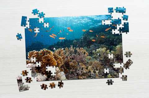 Ocean fish and coral puzzle