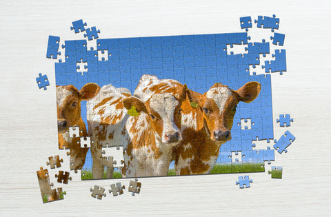 Cow farm animal puzzle