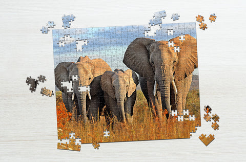 Elephant herd  zoo puzzle