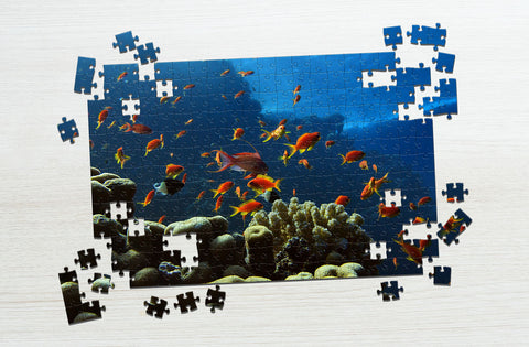 Fish in ocean puzzle