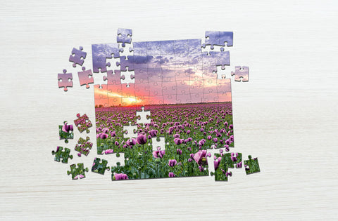 Lavender flower field puzzle