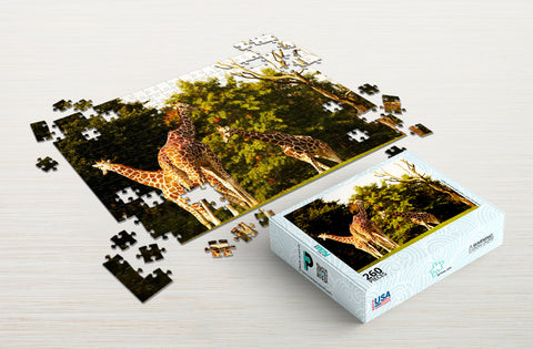 Giraffes zoo puzzle