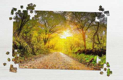 Nature pathway puzzle