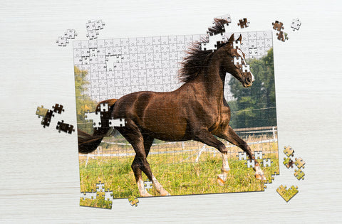 Brown horse puzzle